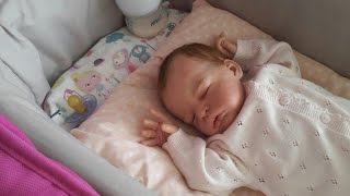 Обзор на коляску для реборна/коляска для реборна/коляска 2 в 1