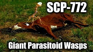 SCP-772 Giant Parasitoid Wasps | euclid | Parasitic / Species scp