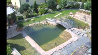 markus`schwimmteich lautertal 2012