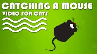 CAT GAMES ON SCREEN - Catching a Mouse! Entertainment Video for Cats to Watch.