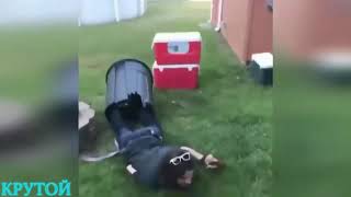 Приколы, приколы подборка, ржачь, смех