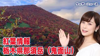紅葉情報　栃木県那須岳も綺麗に色づき