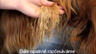 Plush Puppy - Blow Dry Cram