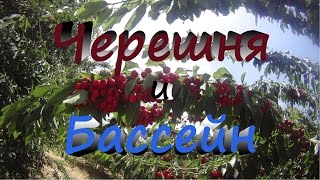 Черешня и Бассейн