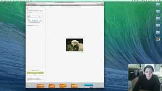Layering a photo without software