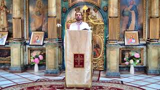 17.06.2018 Dum. a 3 a dupa Rusalii - Pr. Dr. Ioan Codorean