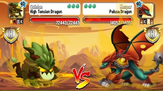 Dragon City - Fighting Battle + Leagues 306 [Full Missions & Boss 2017]