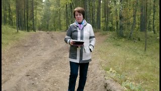 1480. Хлеб на каждый день. Мудрость Давида.