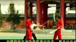 wushu Taolu Fudaolianxi 2 part 1