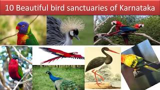 ಕರ್ನಾಟಕದ ೧೦ ಸುಂದರ ಪಕ್ಷಿಧಾಮಗಳು | 10 beautiful bird sanctuaries of Karnataka
