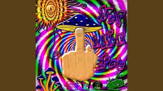 Not Like You Wormpool Instrumental