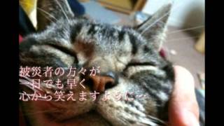 私にできること　　KOKIA
