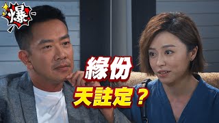 《多情大爆爆》多情城市 EP232 緣份 天註定？