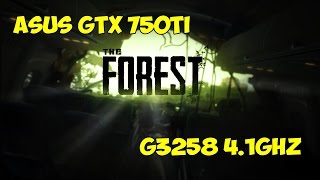 The Forest  -G3258 4.1Ghz - ASUS GTX750 ti - 1080p