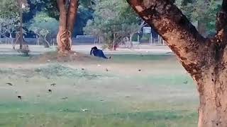 JUBILEE PARK (#JAMSHEDPUR)latest #couples #beat by #POLICE