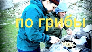 ✅Поиск грибов в предгорье| Дагестан #погрибы #отдыхвдагестане #дагестан