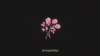 Tranquillity - Chill Lofi Hip Hop Beat (FREE FOR PROFIT USE)