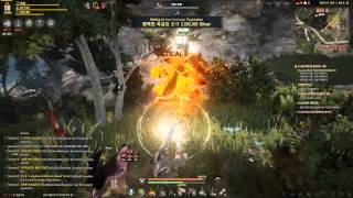 Black Desert - Quest Ranger Awekening - Gameplay
