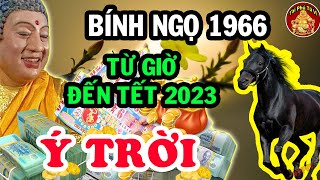 Bính Ngọ 1966 Đoán Được Ý Trời Vượng Vận Tài Lộc Đổi Đời Đại Gia Từ Nay Đến Tết 2023