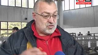 ИЗЛОЖБА НА ГЪЛЪБИ