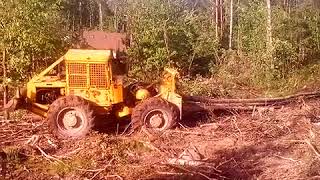 LKT-81 трелевка леса