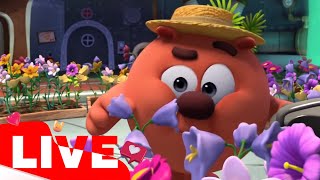 ПРЯМОЙ ЭФИР! LIVE Cмешарики ПинКОД | Невероятные космические путешествия | Наука для детей