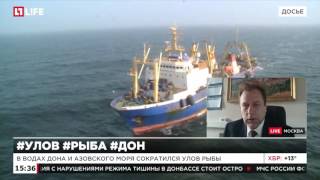 НАША рыба. Донская.