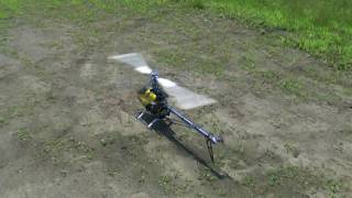 T-REX 600 ESP Test Flight