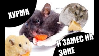 MTA DayZ Ultimate | Хурма на Зоне 69