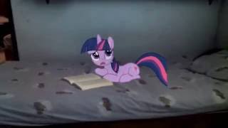 Twilight's think my books (MLP in real life)