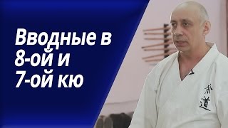 Вводные в 8 и 7 кью синий пояс. Нормативы карате. Пояса, экзамен, даны в карате.
