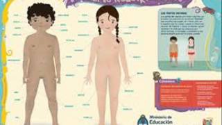 7 A 10 Años desarrollo sexual