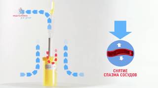 Самоздрав Кидс
