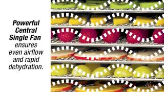 Sedona Express Dehydrator -- The Power of the Sun on Your Kitchen Counter!