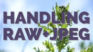 How to handle RAW and JPEG in Lightroom