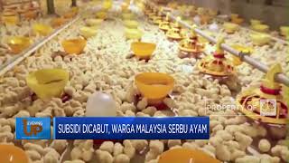 Subsidi Dicabut, Warga Malaysia Serbu Ayam