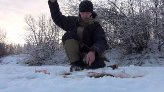 ловля окуня зимой