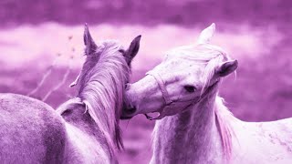 Soothing Meditation Music | Positive Energy 432hz | Deep Relaxing Sounds | Detox Healing Frequency