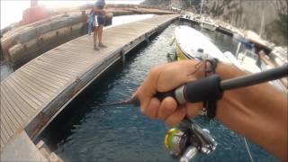 Spin Passion Capri: Ricciolette a Light Rock Fishing