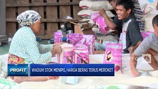 Waduh! Stok Menipis, Harga Beras Terus Meroket