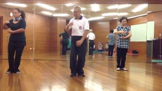 文化大學太極拳37式黃議賢老師教學示範