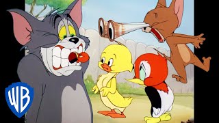 Tom & Jerry in italiano | Il Regno degli Animali 