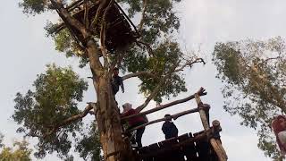 Grdu pndang Hutan pinus mangunan dlingo bantul jogjakarta indonesia #wisatajogja #hutanpinusmangunan