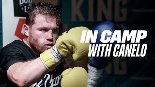 'I CAN'T LOSE' - Canelo Aiming To Stop GGG Within 12 Rounds