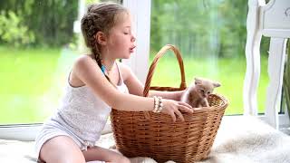 Родились у нас котята, их по счету ровно пять...