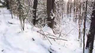 Mari song "Lum veleš" (Snow Is Falling)