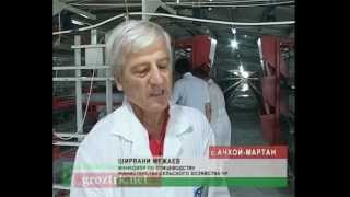 Птицефабрика приобретает товарный вид Чечня.