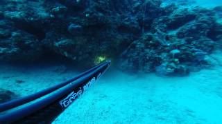 Rofos 16,7kg 50,5m 2,10 xt diving pro team Giorgos Tsonas-Tasis Peroulis