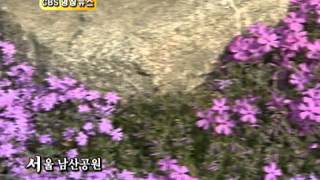 CBS 영상-서울 남산공원