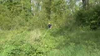 appeau "Buck Expert" oies rieuses